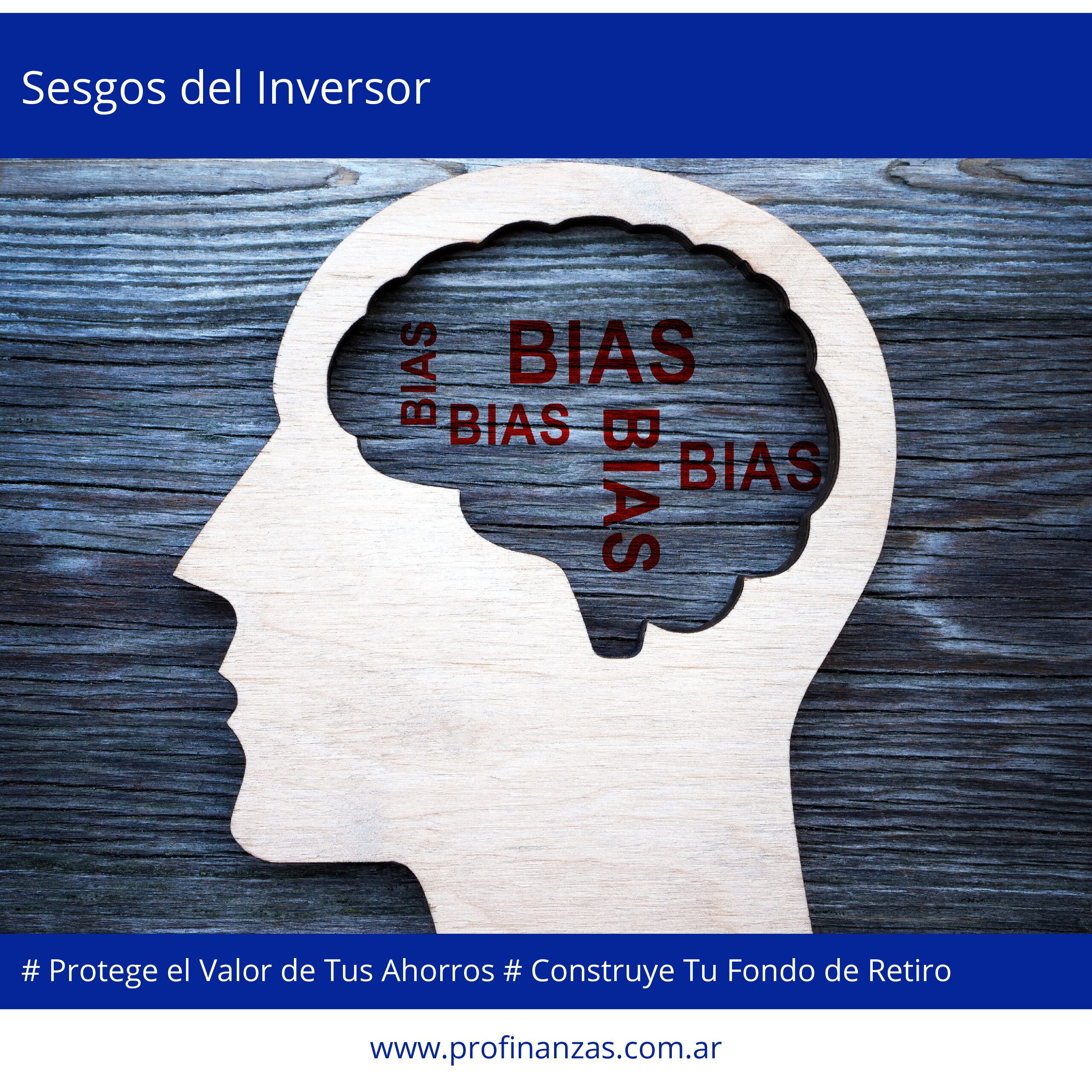 Sesgos del Inversor